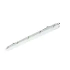 Philips Stagna LED Ledinaire WT065C 23/42W 2900/4800lm - 840 Bianco Freddo | 120cm - Cablaggio Entra/Esci